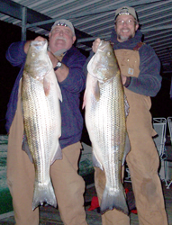 Mike & Al with 38 and 41 Stripers