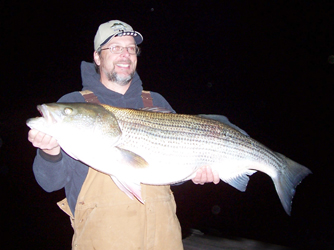 Al with a 41 lb Striper caught on Bull Shoals Lake, AR